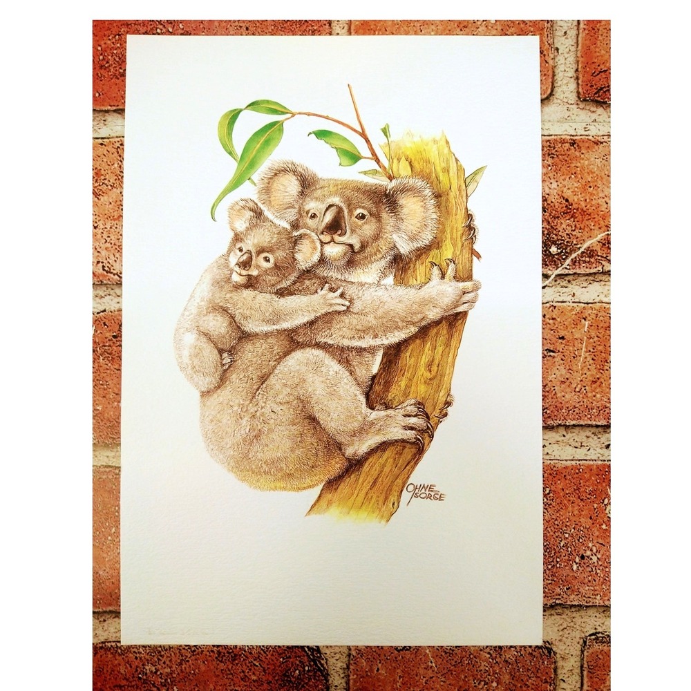 Koala with Baby Art 1999 Ohne Sorge‎ Wildlife Print 7"x10"